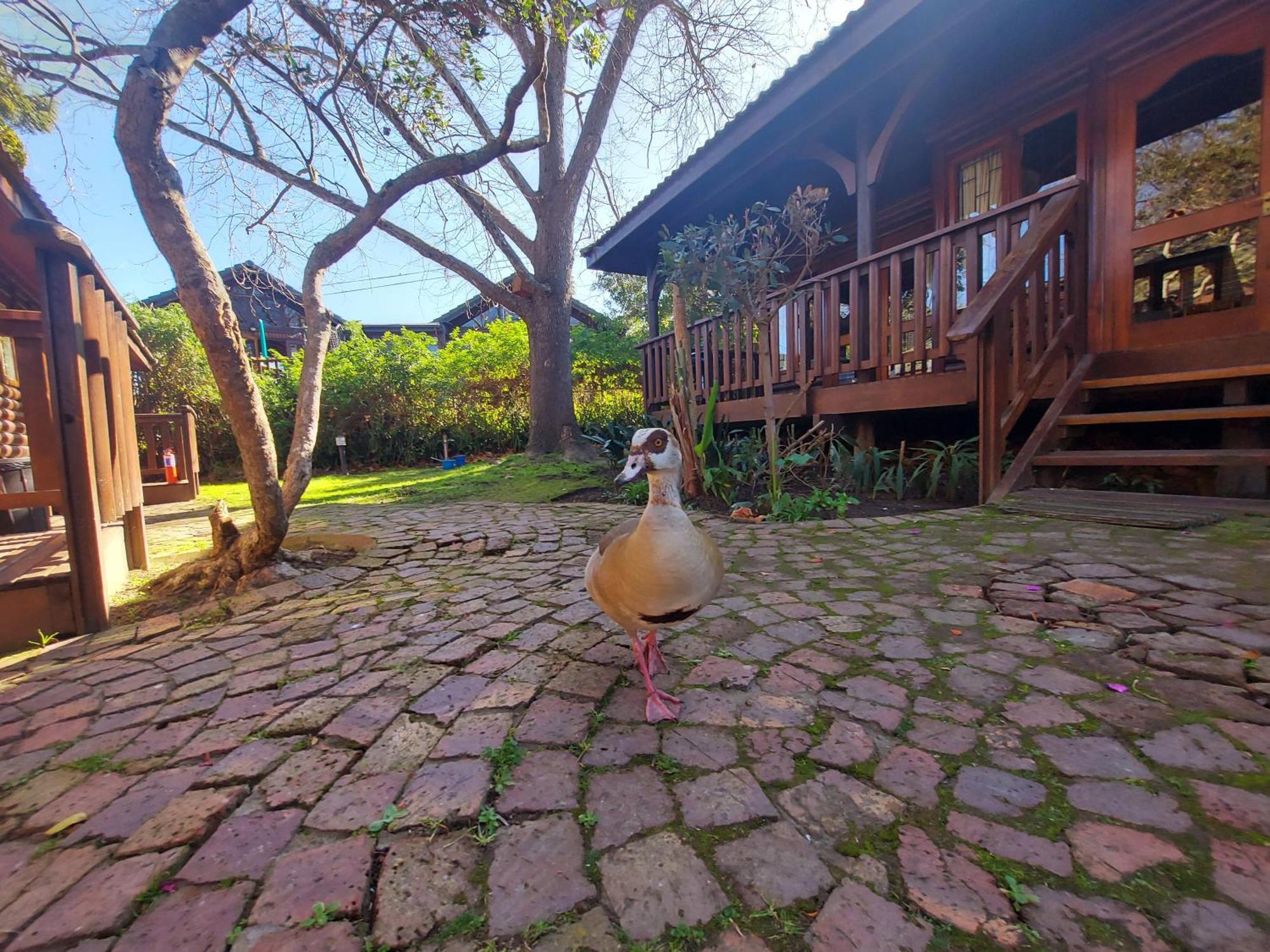 Knysna River Club By First Private Stays Luaran gambar